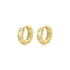Golden Polaris Diamond Sparkle Hoop Earrings